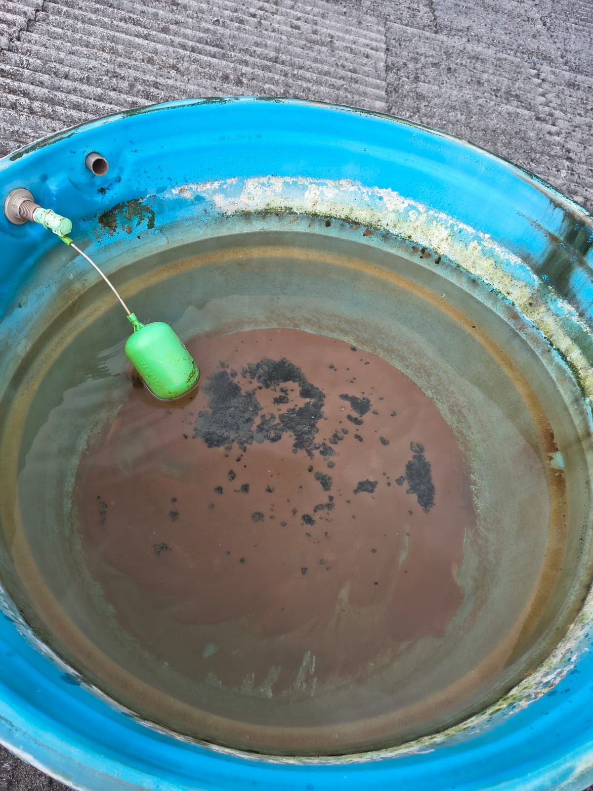 Antes da higienização