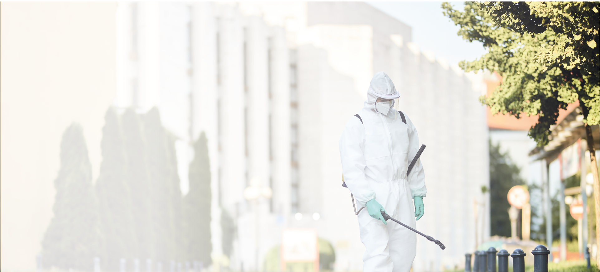 Profissional realizando controle de pragas